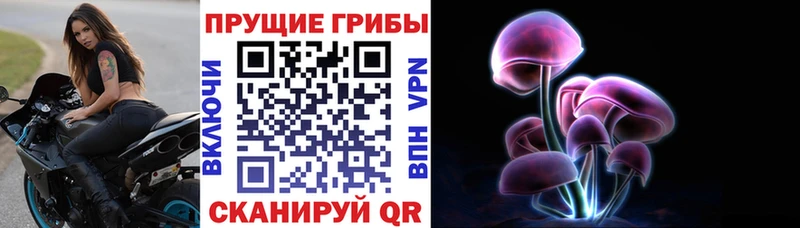 Галлюциногенные грибы мицелий  Купить закладки  Байкальск 